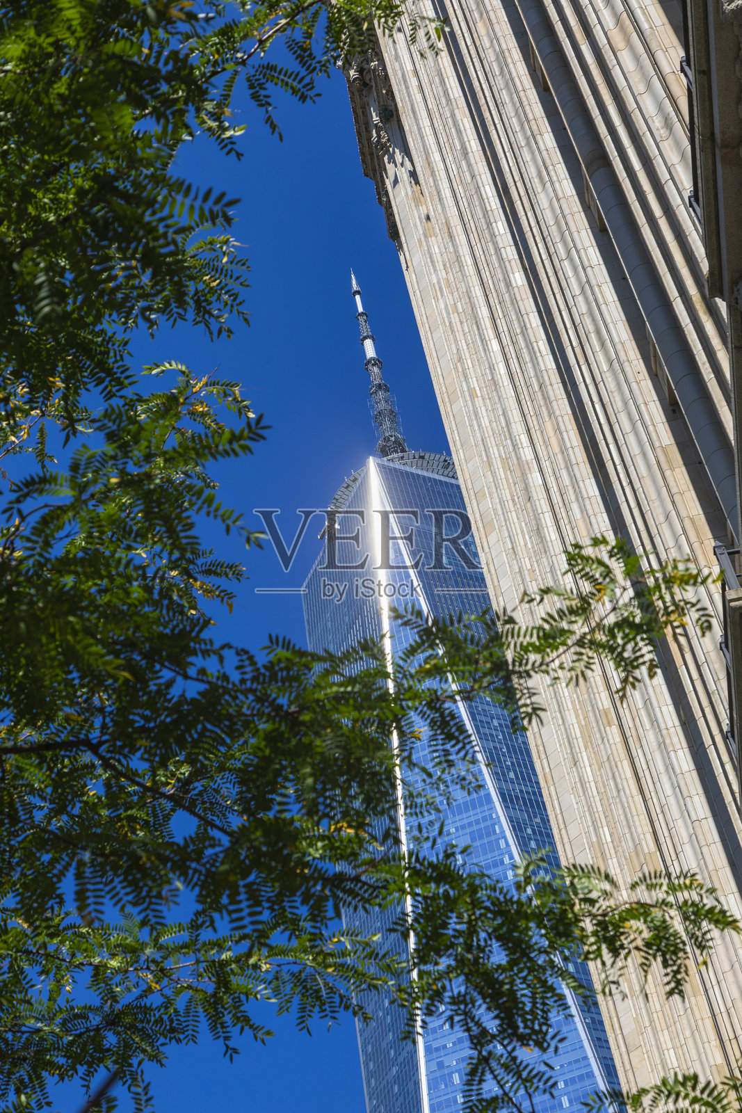 纽约市,一号世界贸易中心在晴朗的蓝天下照片摄影图片