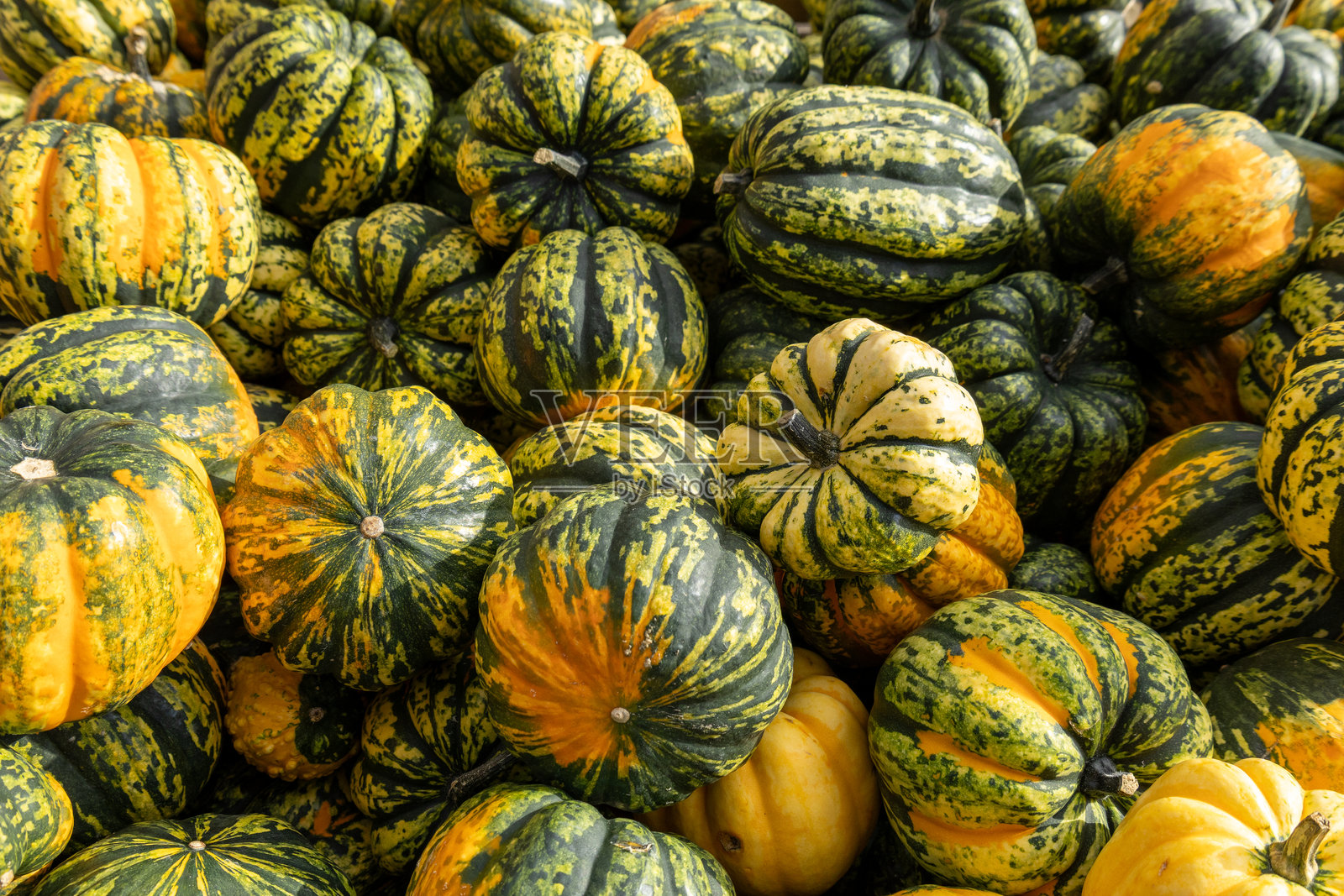 丰盛的健康蔬菜——绿黄相间的橡子南瓜堆积如山。照片摄影图片