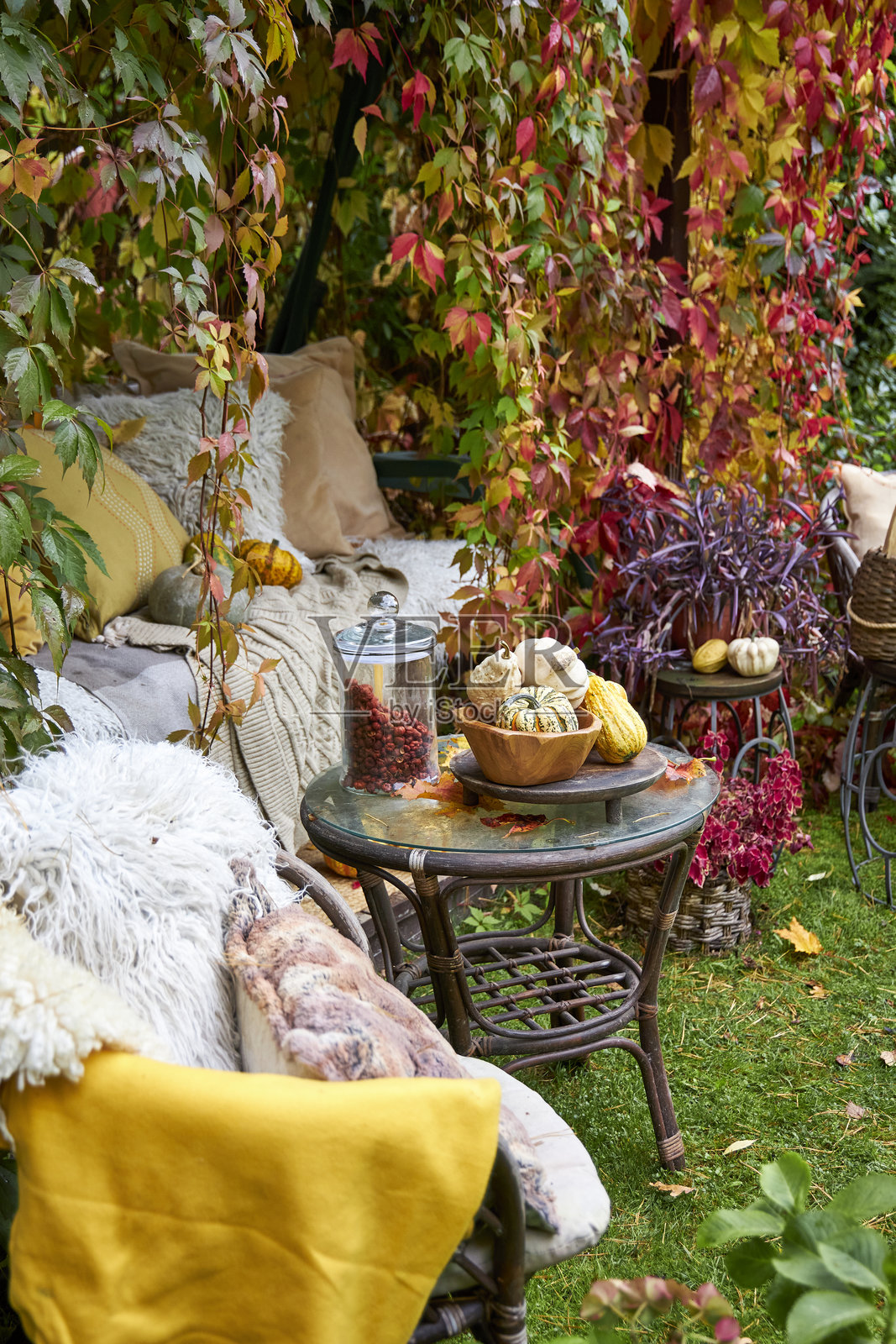 秋季乡村风格静物,花园秋千角落摆放着南瓜、浆果、舒适的毯子和落叶。户外度假装饰,带有自然纹理和多彩的秋叶。照片摄影图片