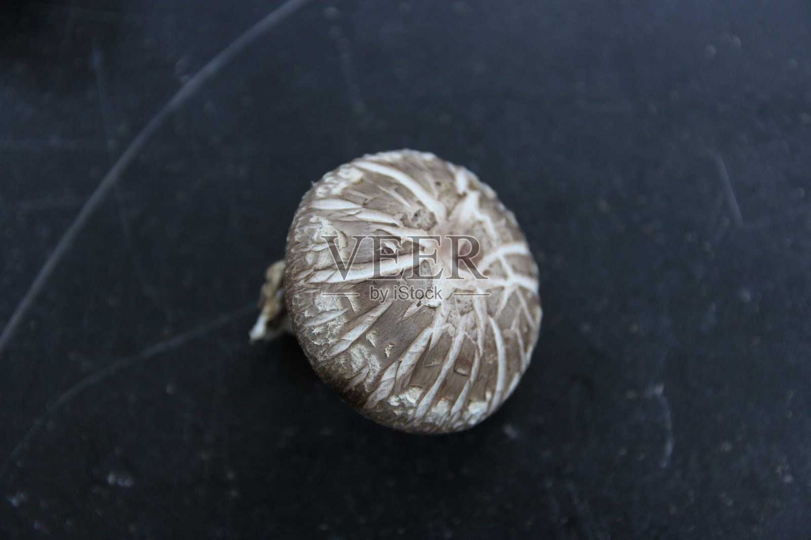 蘑菇农场,室内种植食用菌的设施,通过控制温度和湿度进行大规模食品生产。照片摄影图片