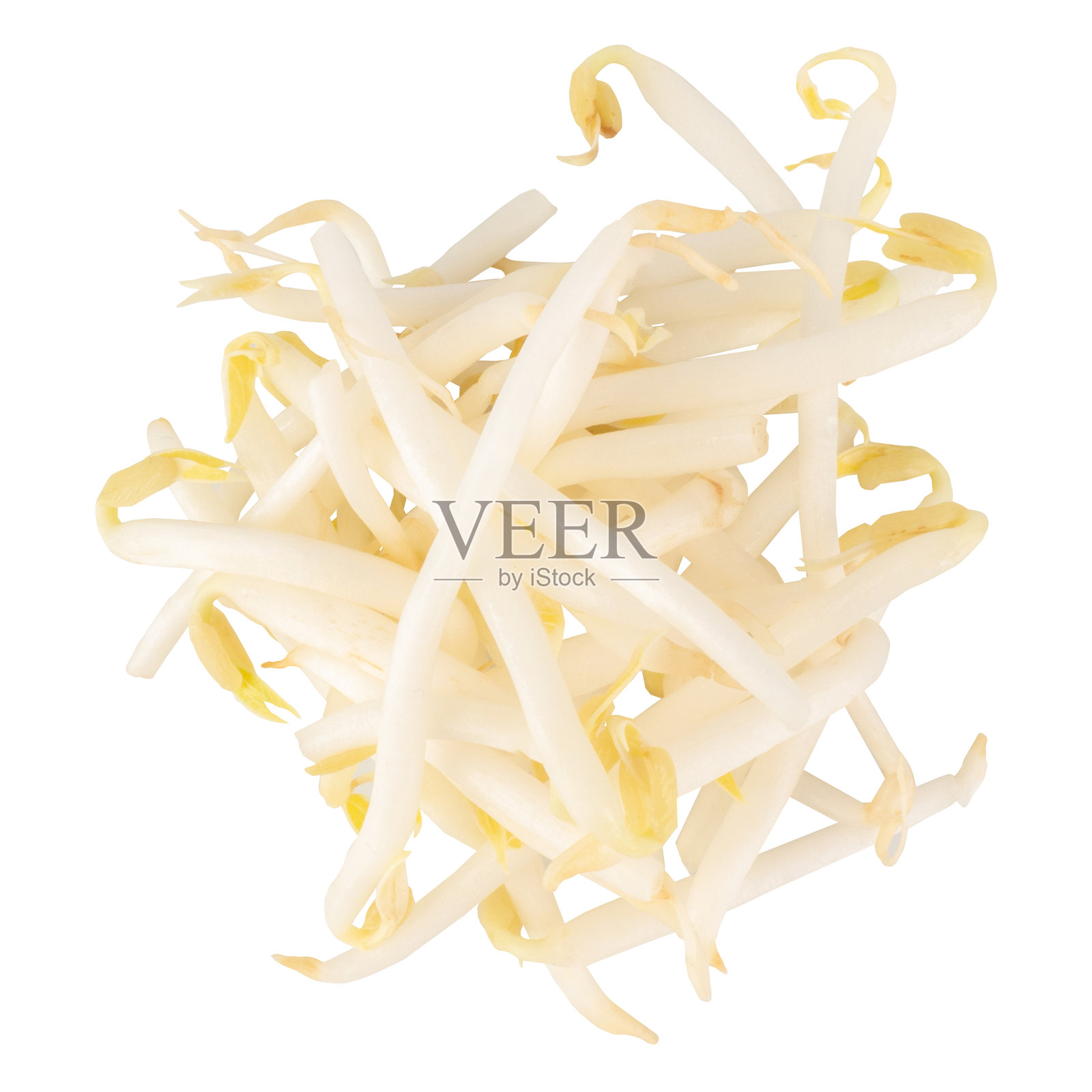 白底绿豆芽堆照片摄影图片