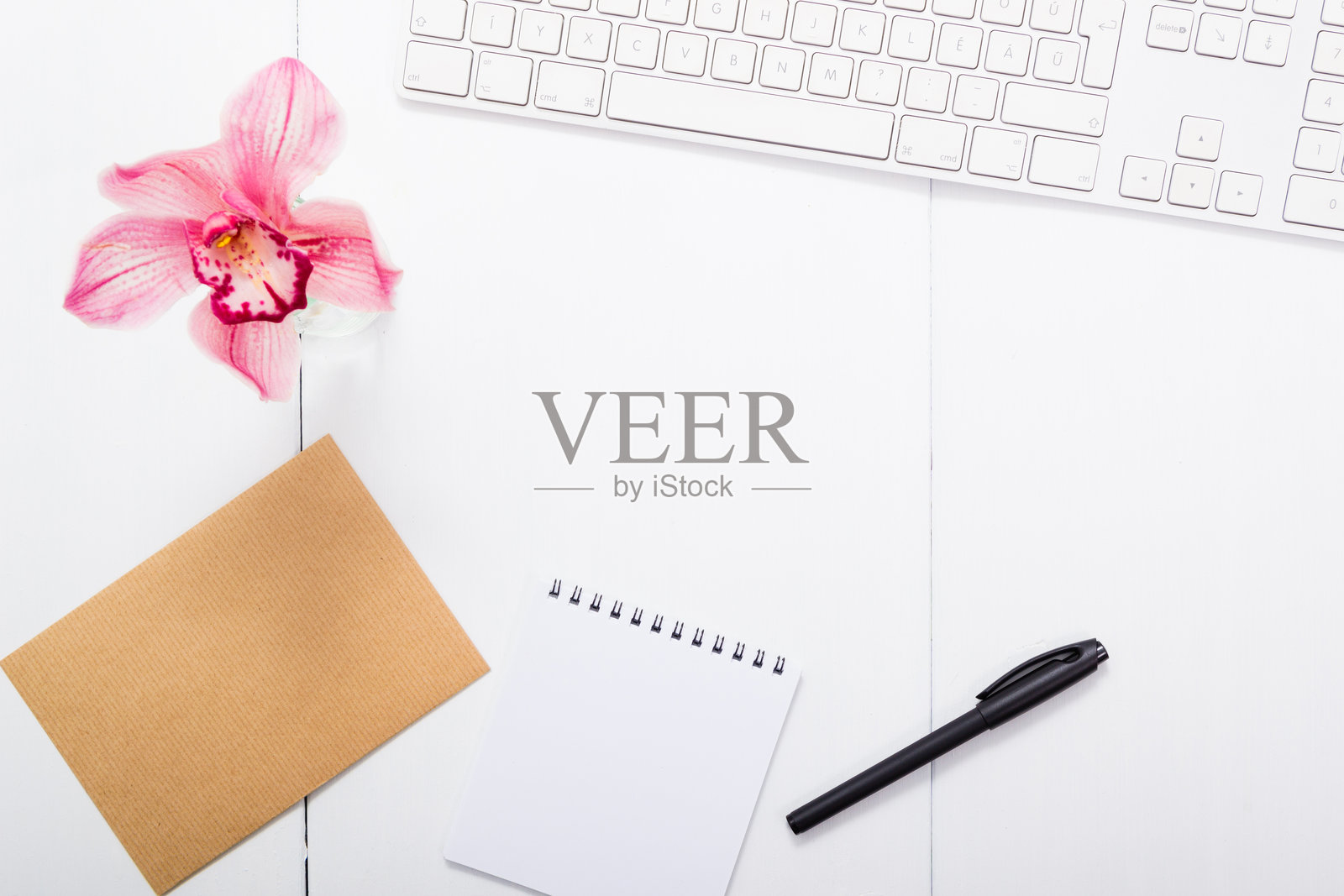 兰花与乐谱照片摄影图片