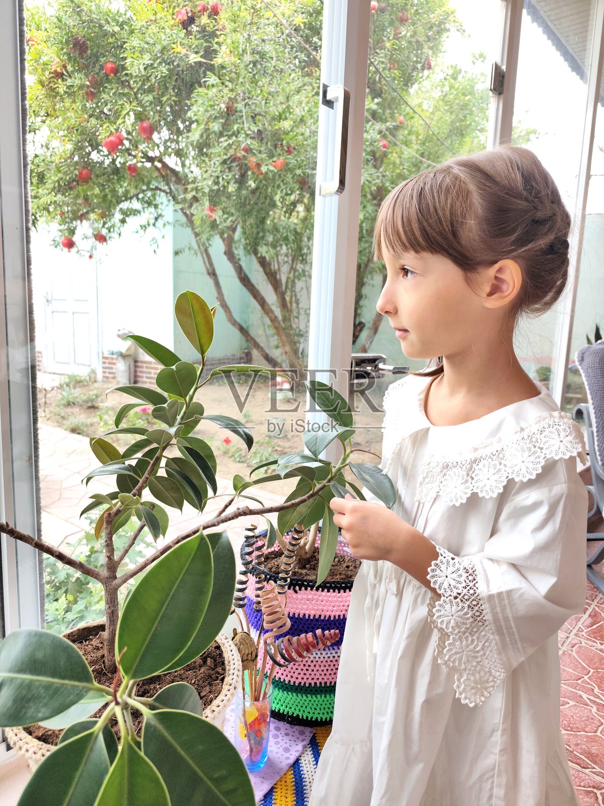 小女孩看着植物和编织花盆照片摄影图片