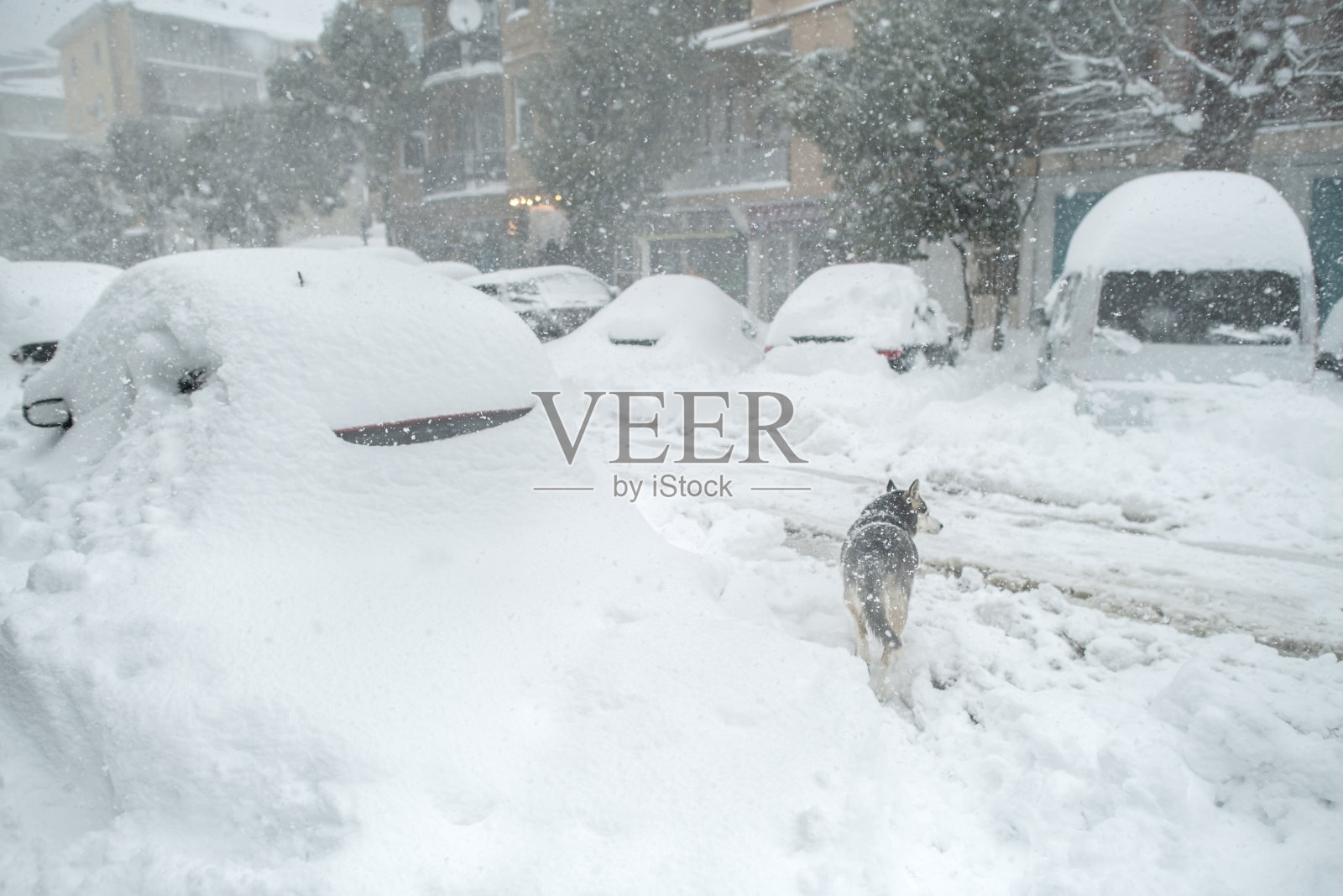 大雪纷飞的城市街道照片摄影图片