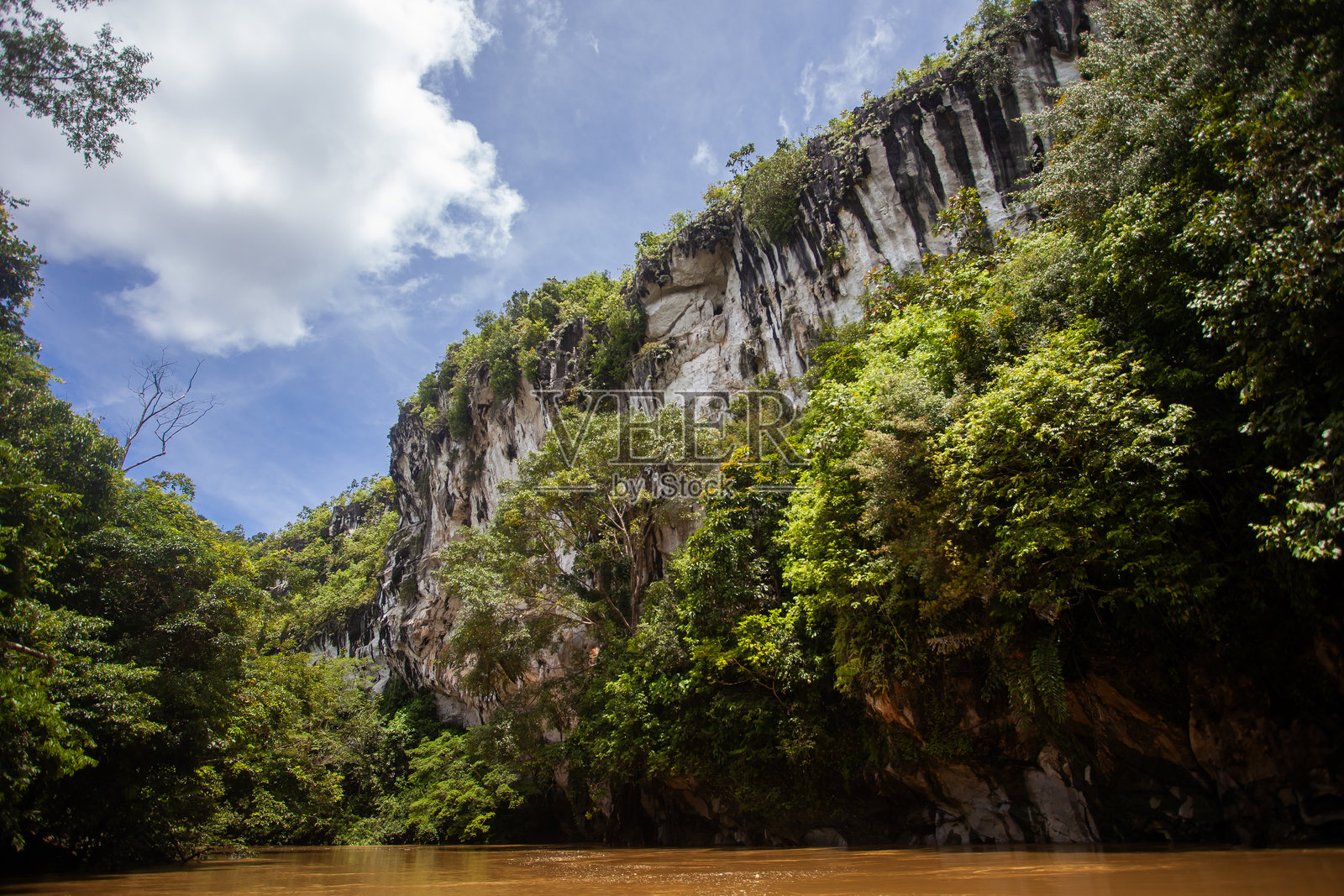 从河上看去,印度尼西亚东婆罗洲东库泰的巴图阿吉喀斯特悬崖的壮丽景色。高耸的石灰岩峭壁上装饰着茂密的热带雨林植被。照片摄影图片