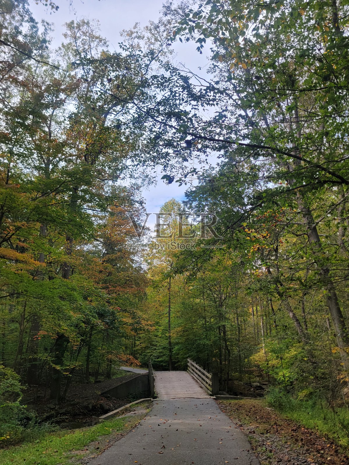 公园里的步行道和桥梁照片摄影图片