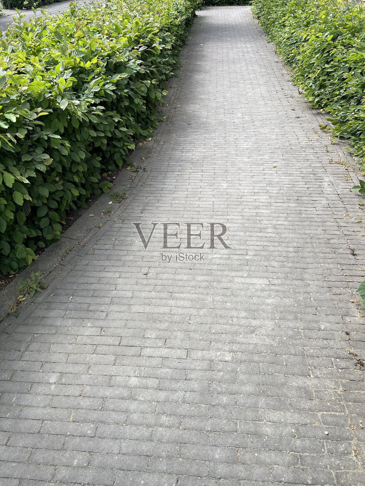 路径照片摄影图片