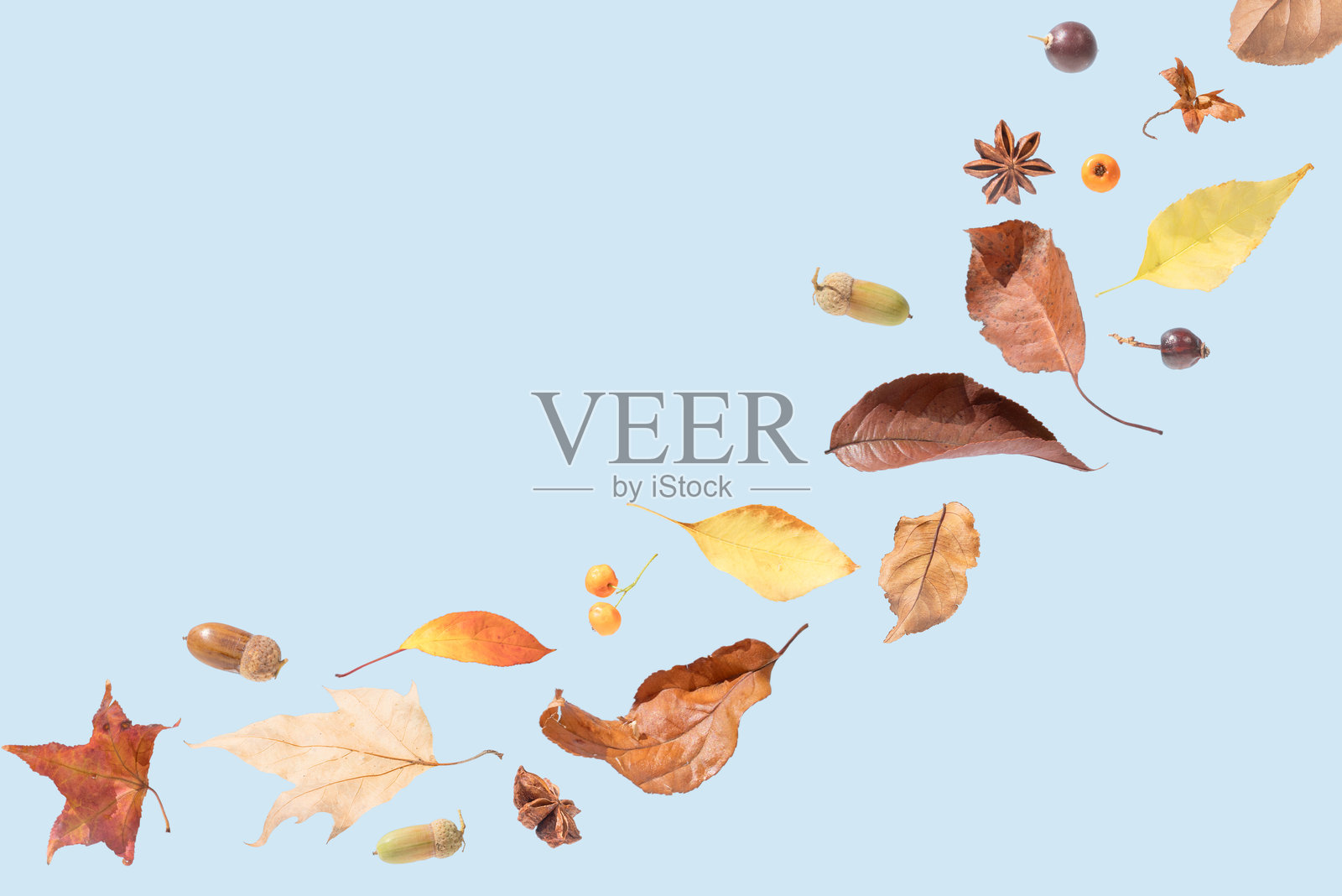 蓝色的背景上的秋叶照片摄影图片