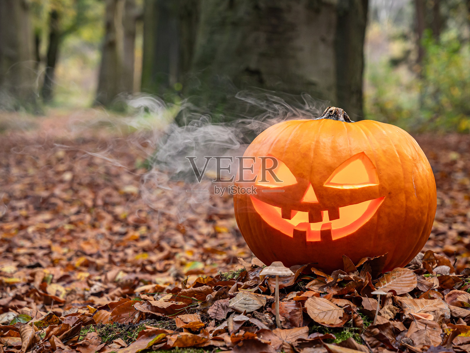 秋林中,发光的杰克灯南瓜伴随着烟雾照片摄影图片