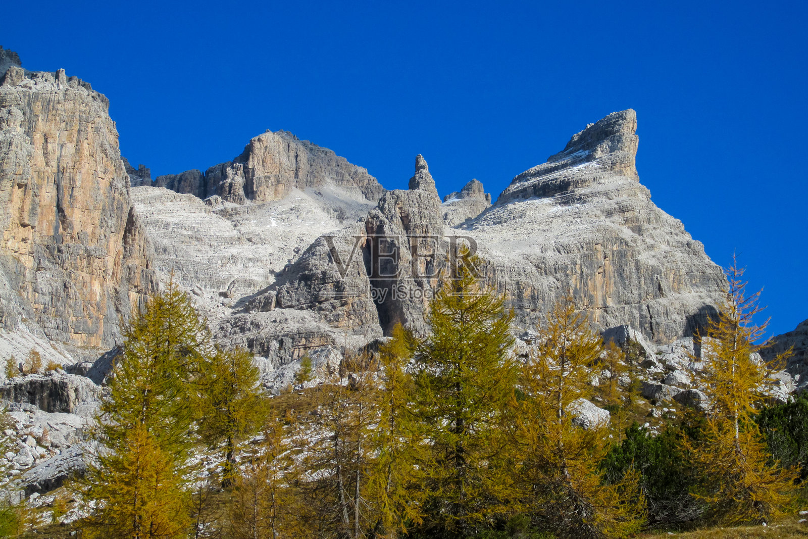 秋天的阿尔卑斯山森林,色彩斑斓的树叶,山地景观和自然风光照片摄影图片