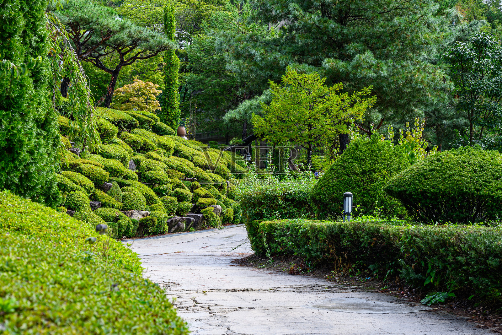 公园里绿树青草掩映的林间小道照片摄影图片
