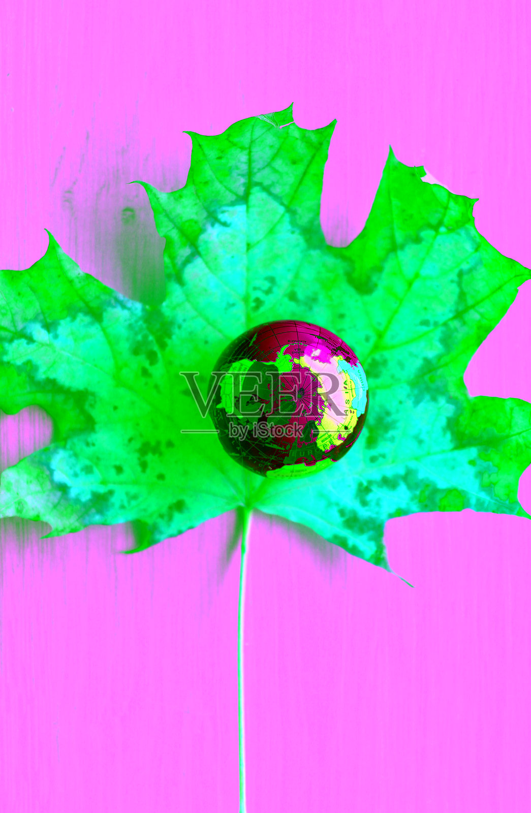 彩色秋季枫叶中心,木质背景下的地球模型俯视图照片摄影图片