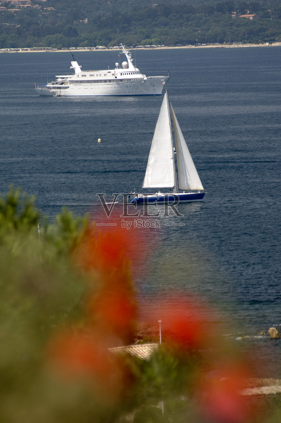 财富照片摄影图片
