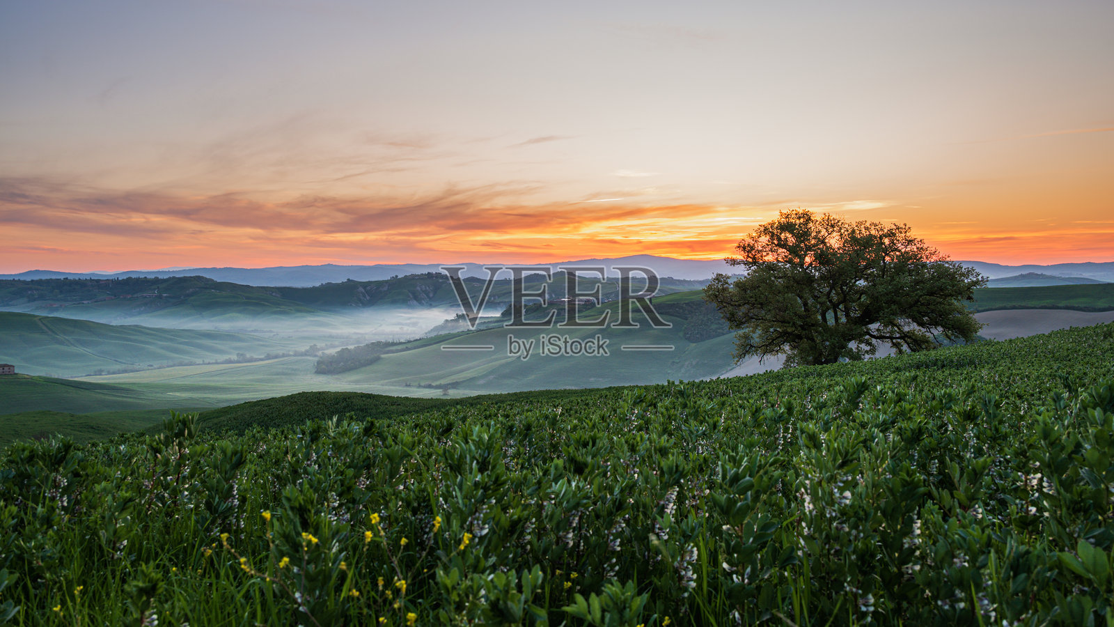 意大利托斯卡纳山区的春日日出照片摄影图片