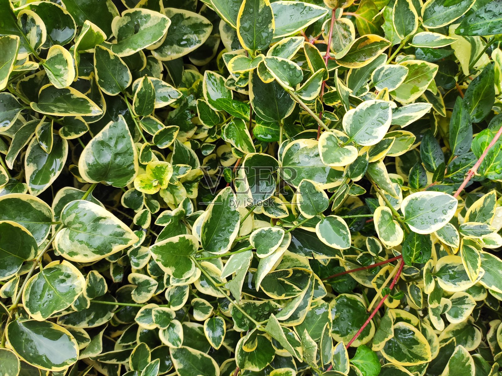 美丽的自然风光摄影照片摄影图片