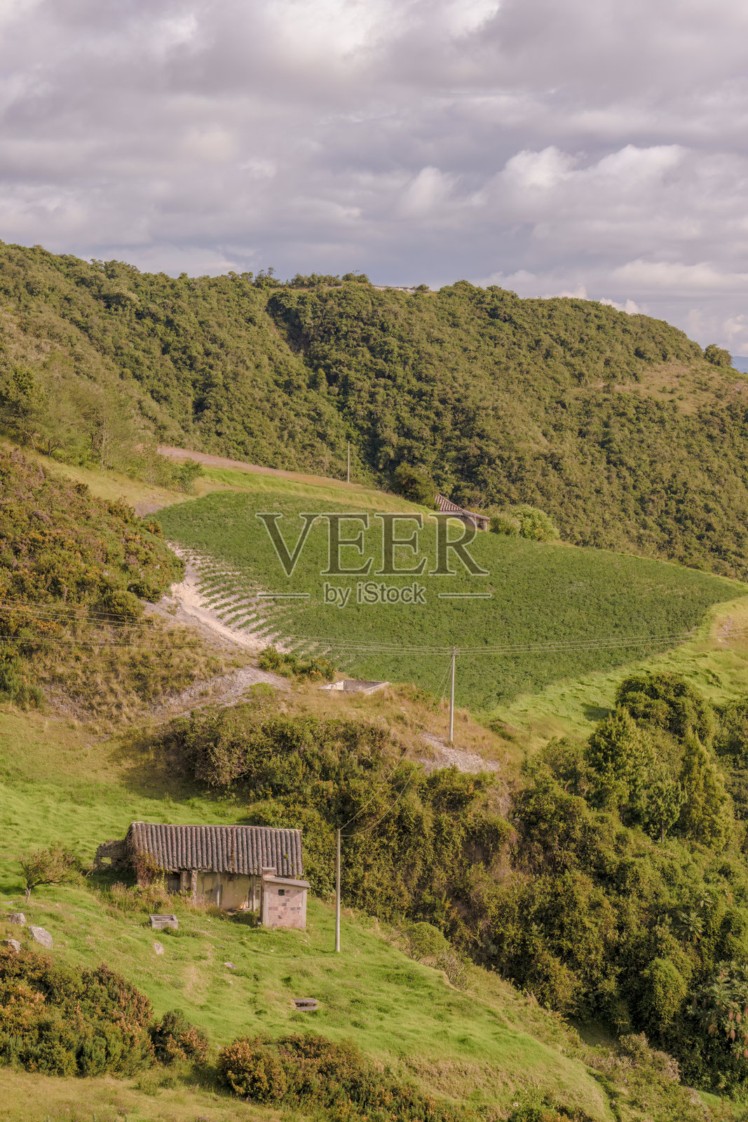 一栋破旧、废弃的传统农舍照片摄影图片