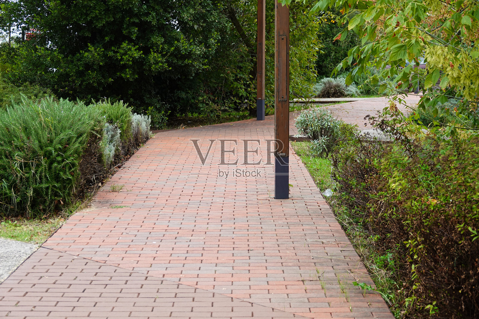 一条砖砌的道路蜿蜒穿过风景优美的公园照片摄影图片