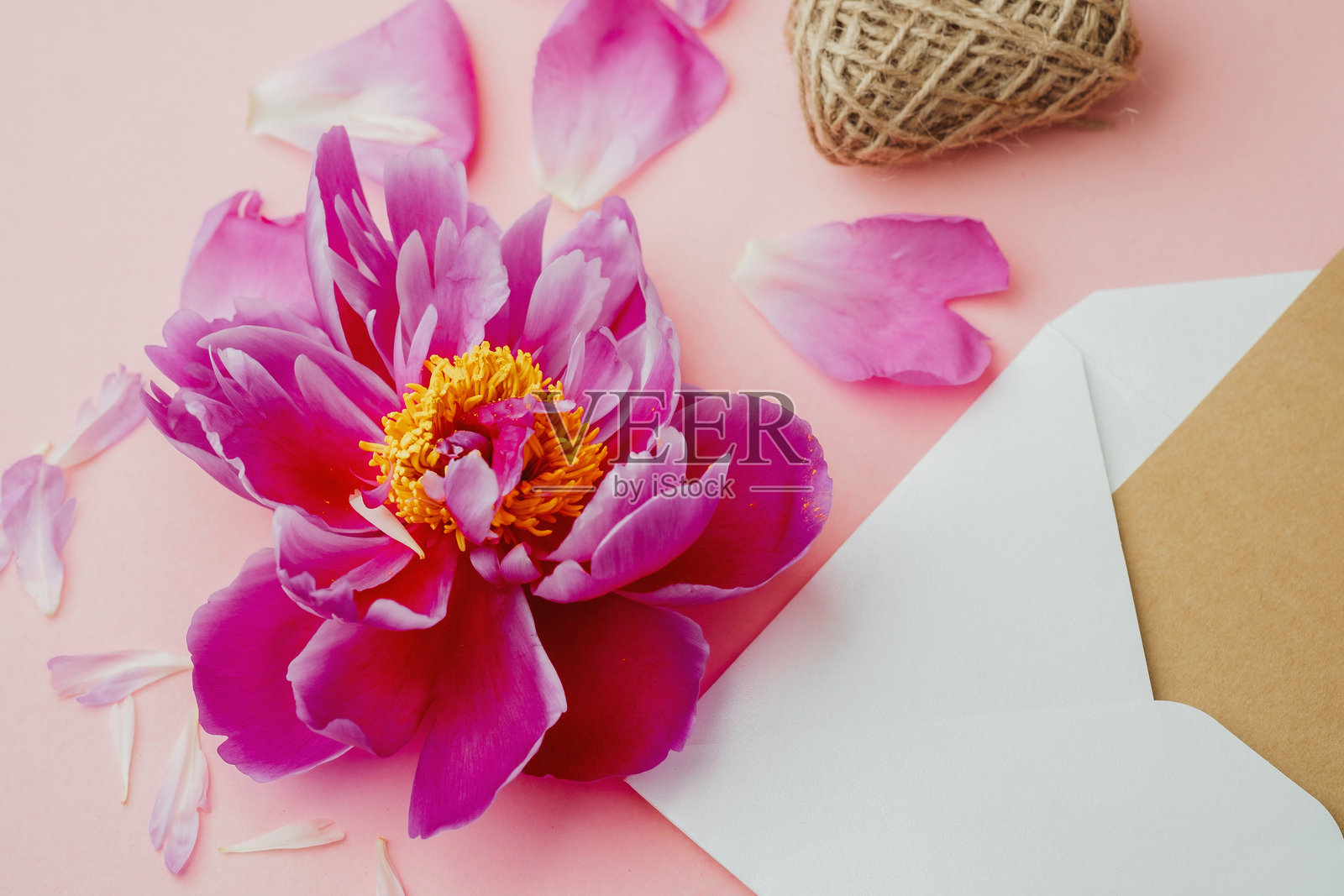 粉色牡丹花,中心为黄色,散落的花瓣在柔和的背景上,配有白色信封照片摄影图片
