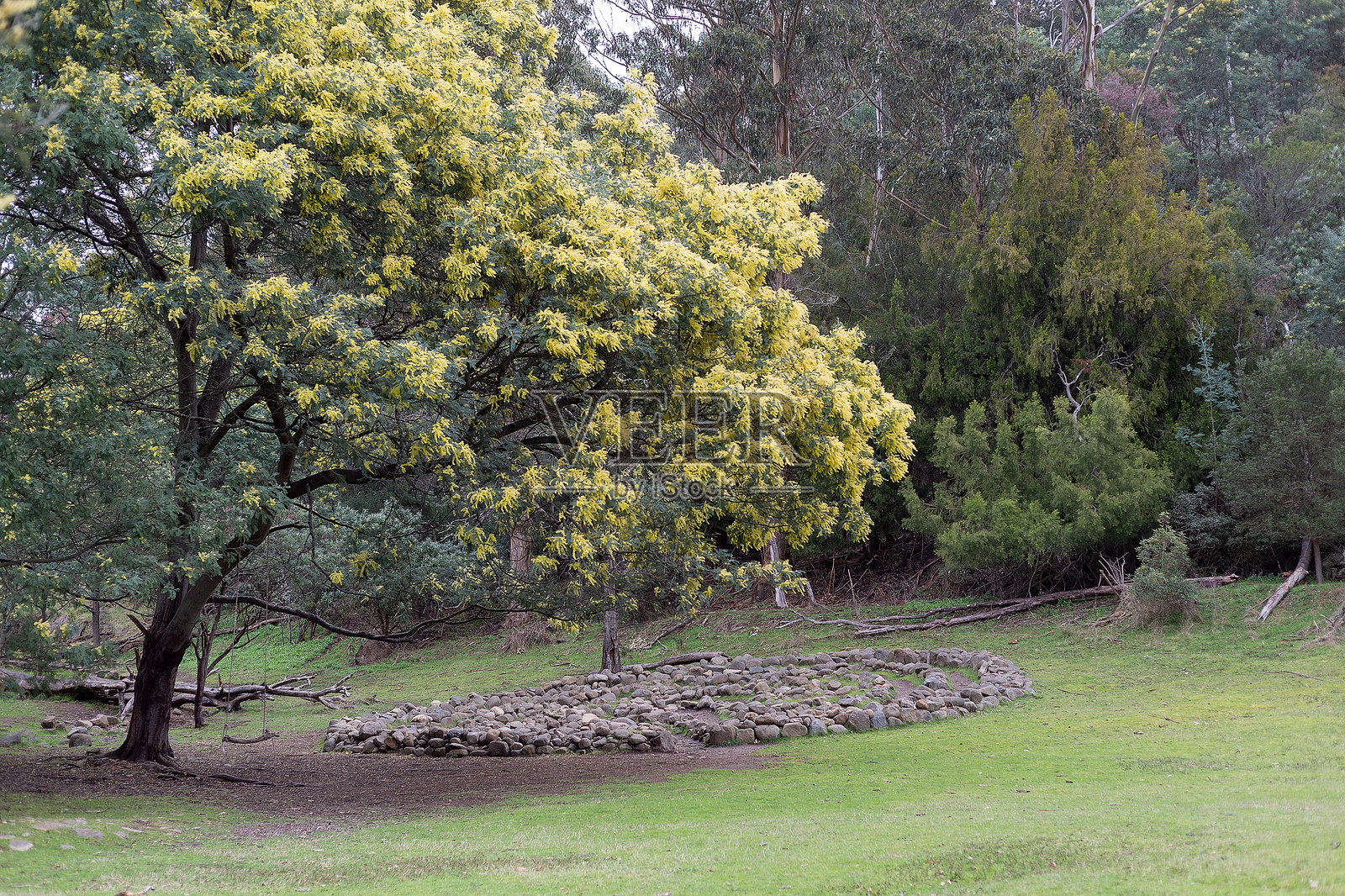 公园里树丛中的石头迷宫户外景观照片摄影图片