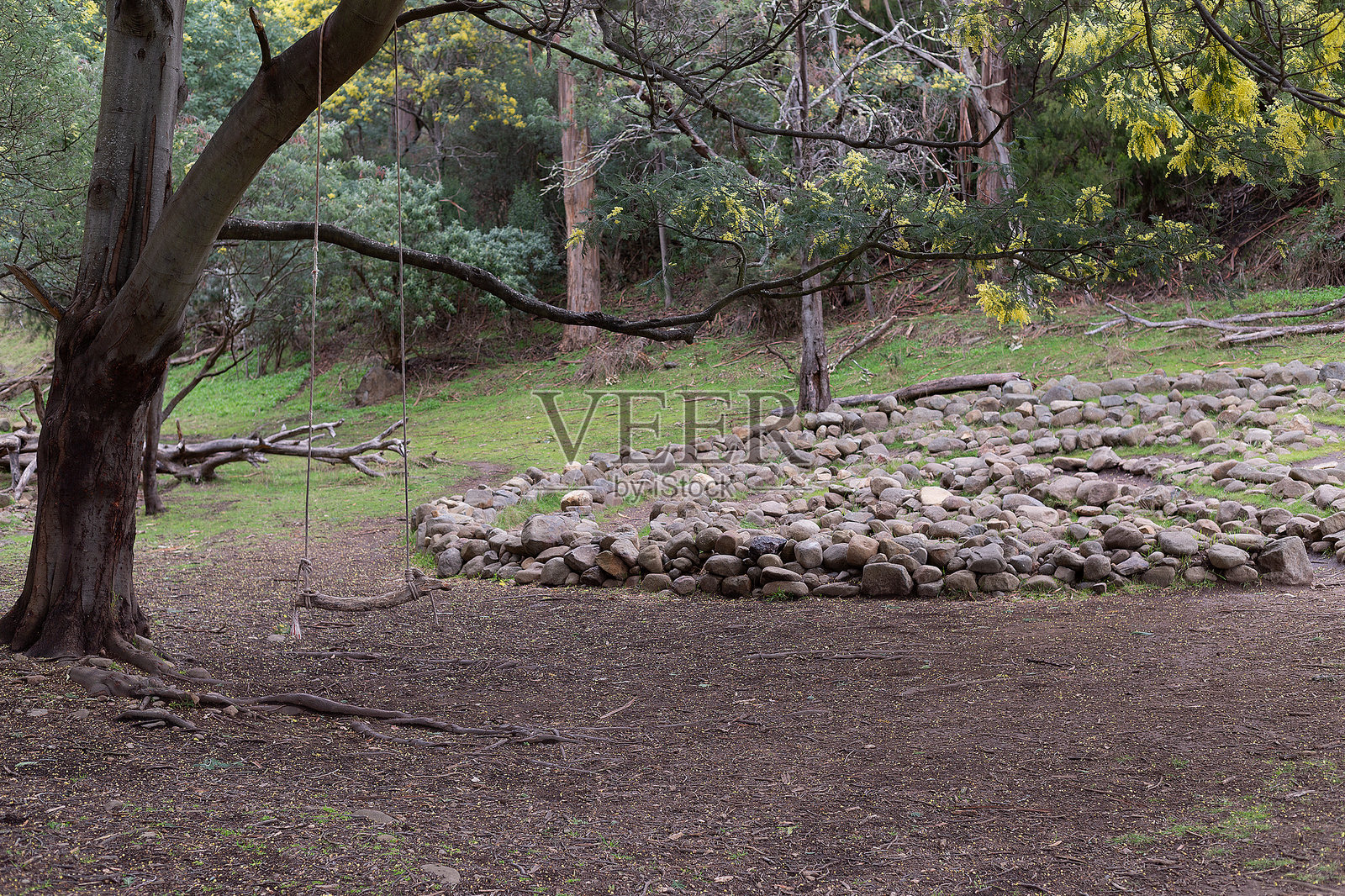 公园里树林中的石头迷宫户外景观照片摄影图片