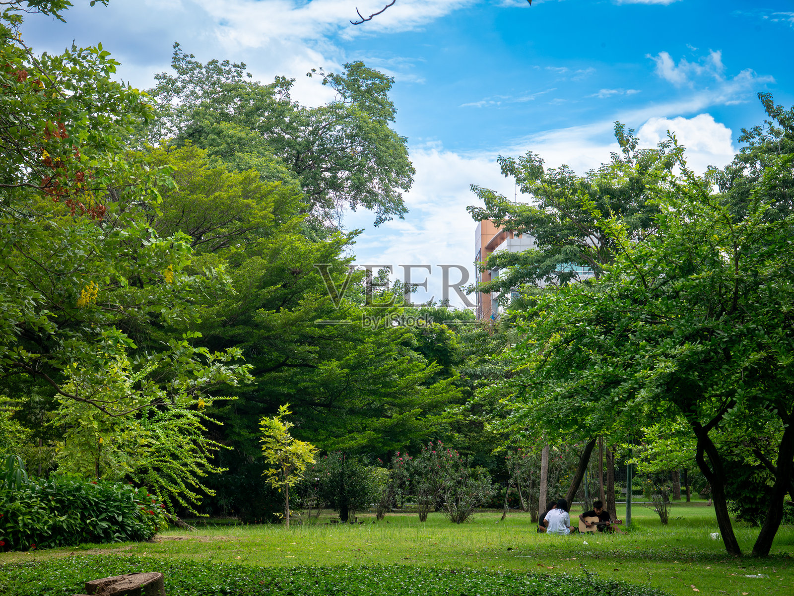 阳光明媚的一天,一群人在公园的绿草地上放松地坐着。照片摄影图片