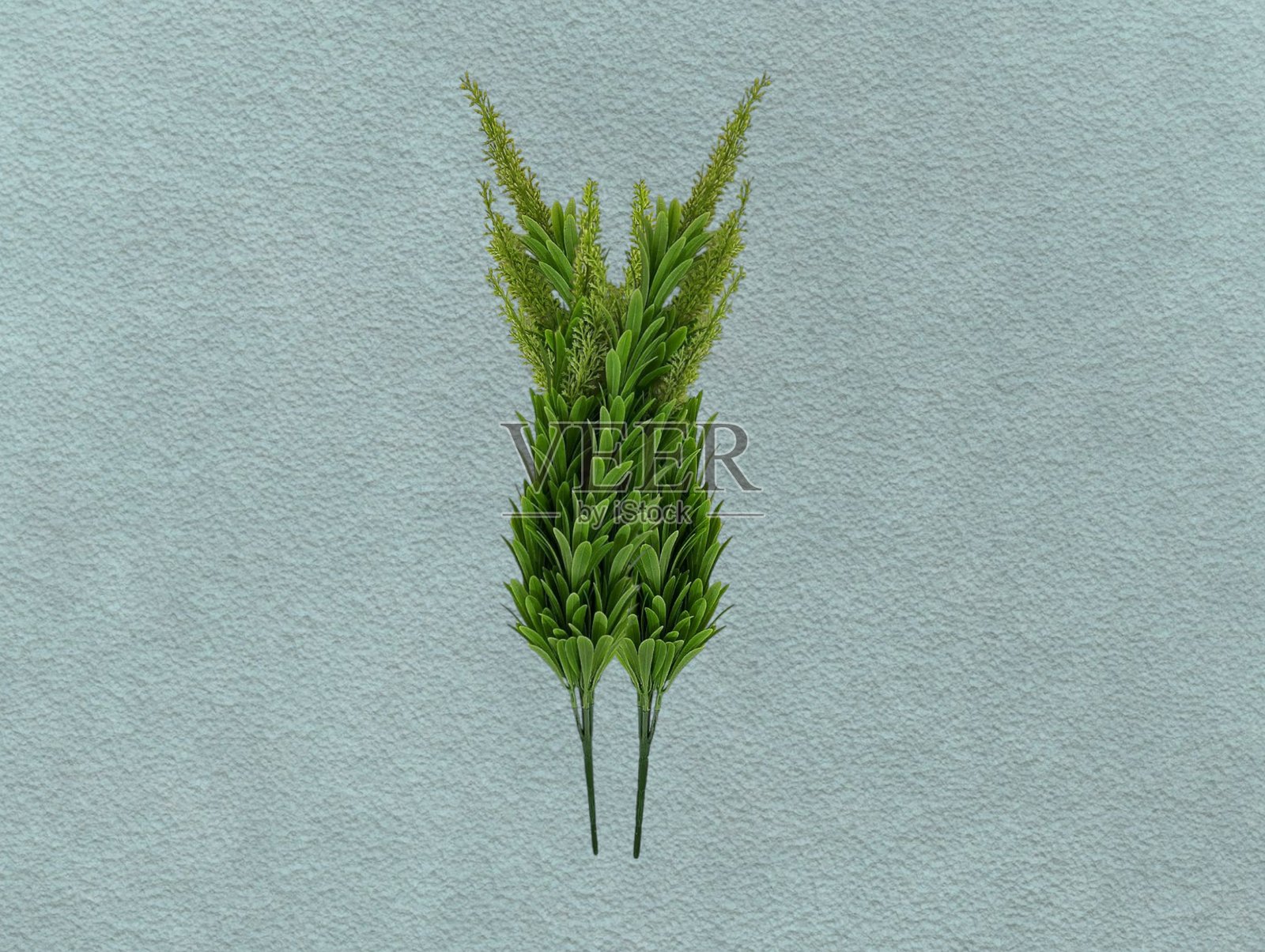 绿色的塑料叶子照片摄影图片