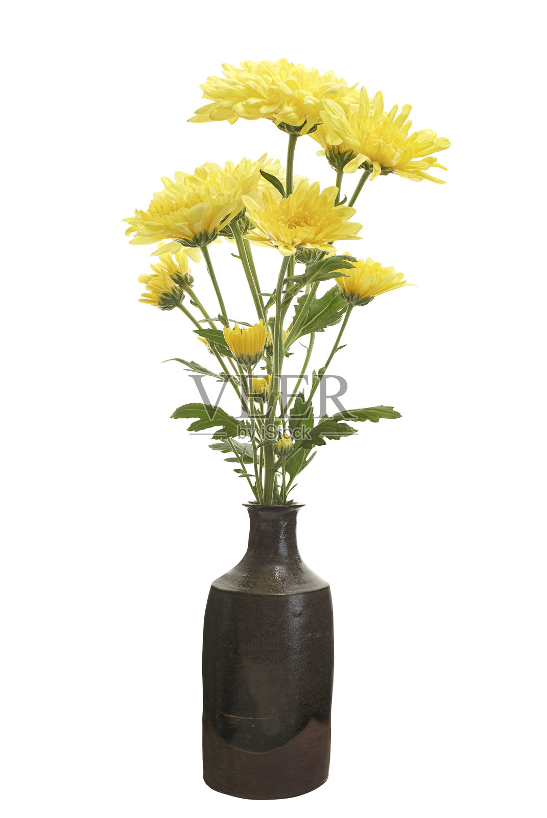 白色背景上带有裁剪路径的乡村陶瓷花瓶中黄色菊花花束照片摄影图片