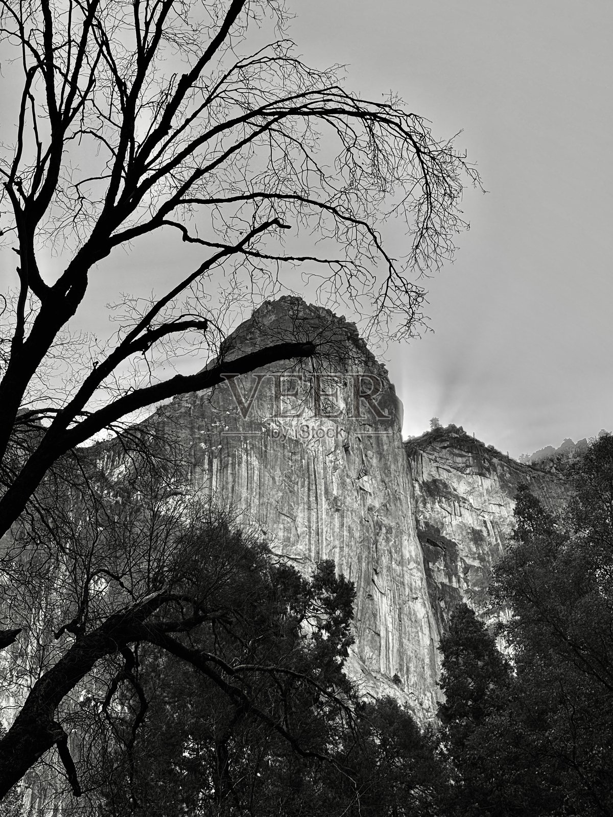 优胜美地国家公园(黑白)照片摄影图片