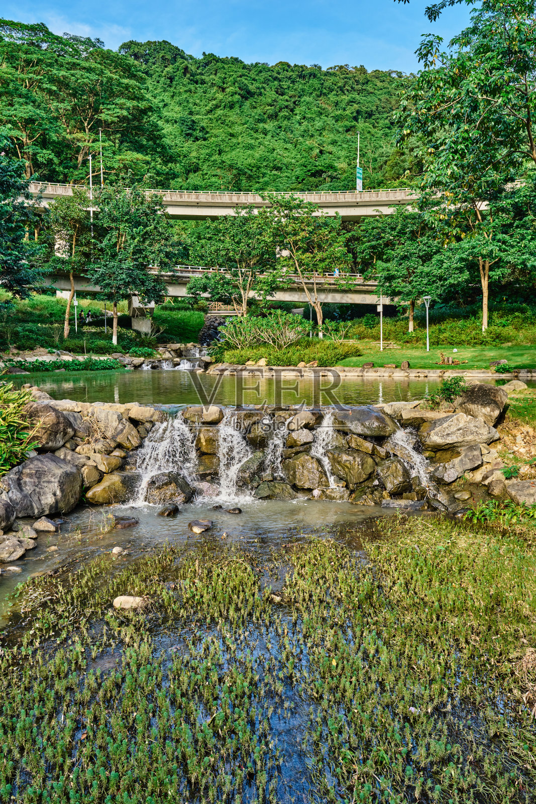 热带地区的小溪照片摄影图片