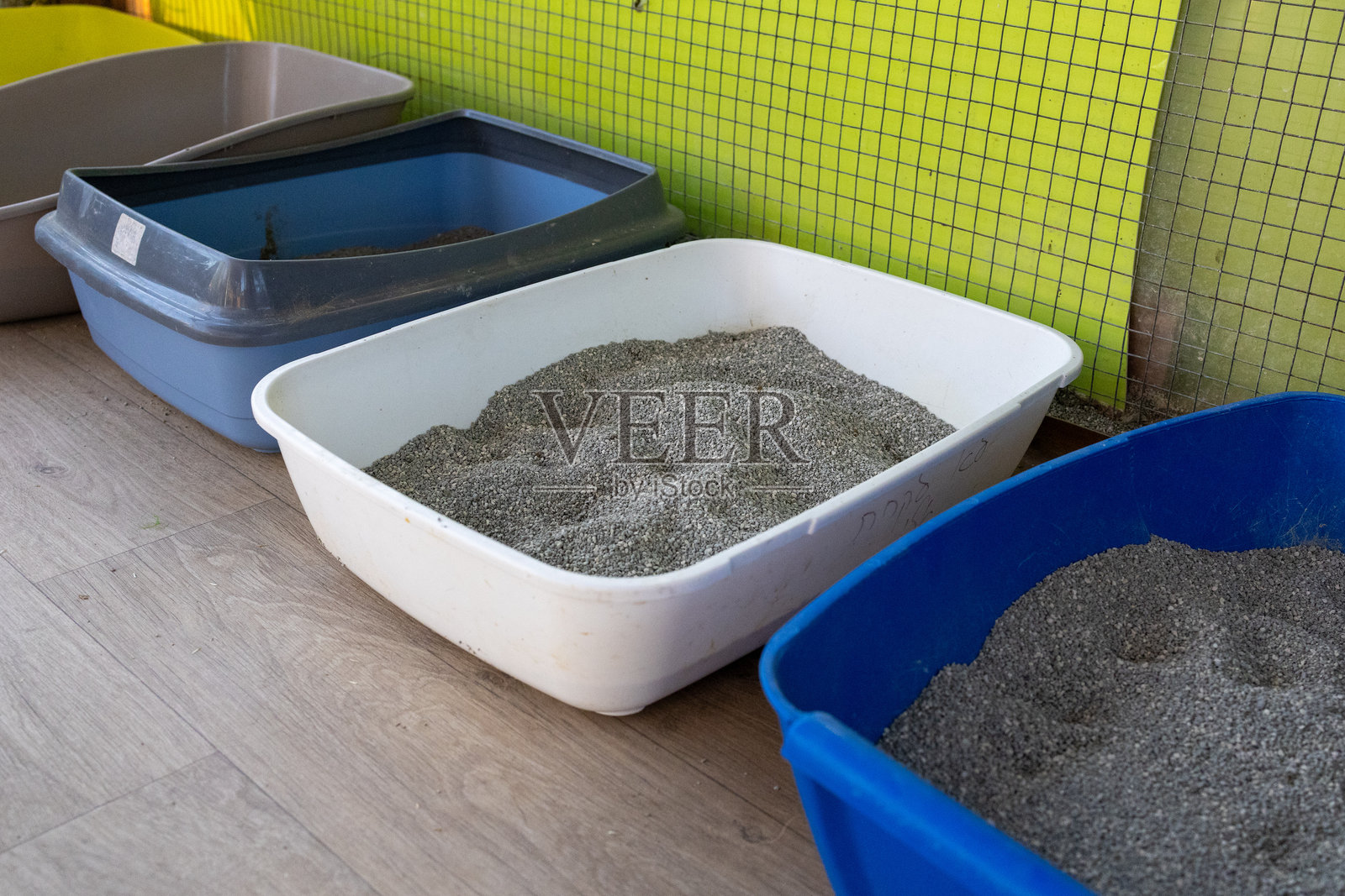 动物收容所里的多个猫砂盆照片摄影图片