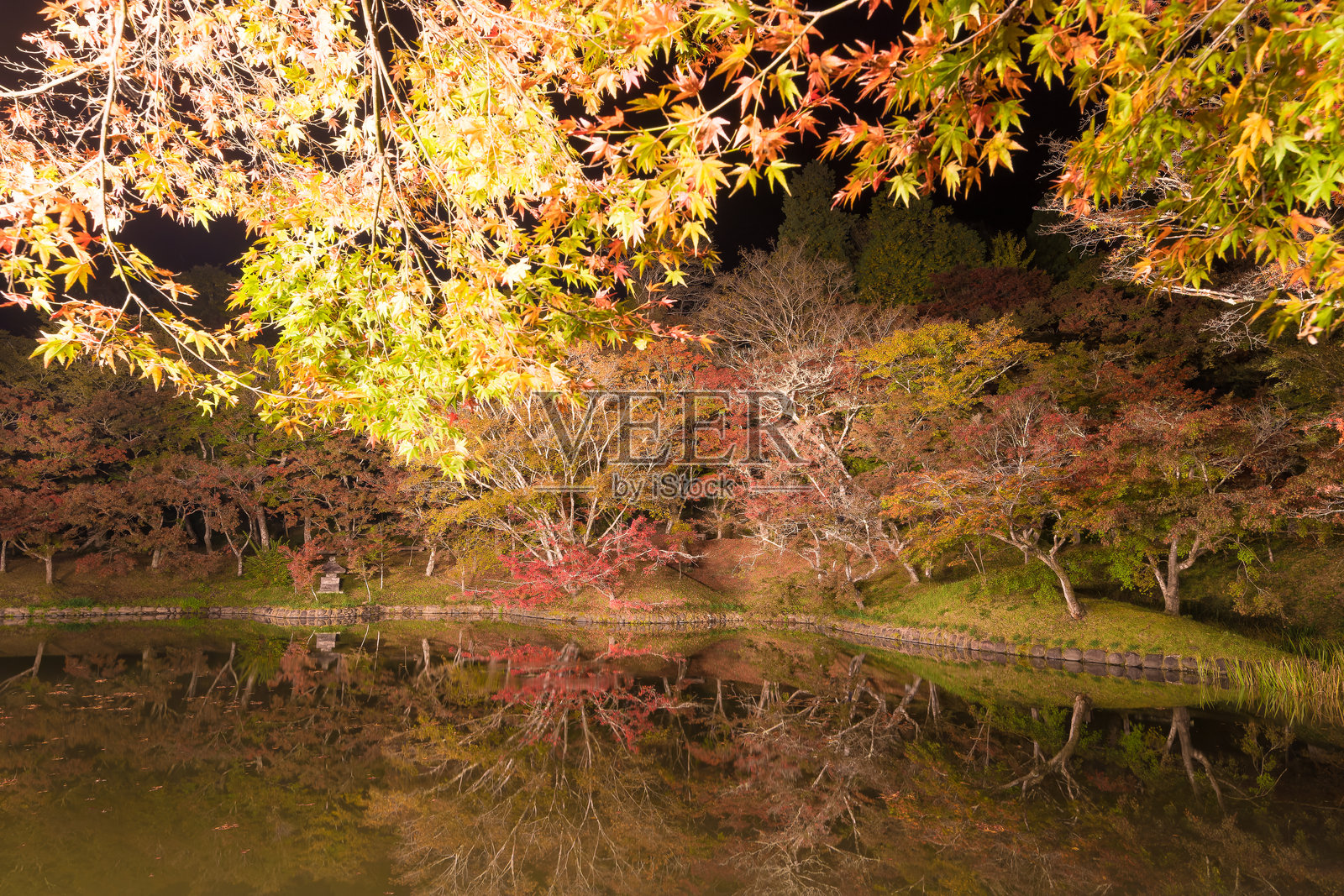 秋季的夕照公园(大分县丰后大野市)的秋叶灯饰照片摄影图片