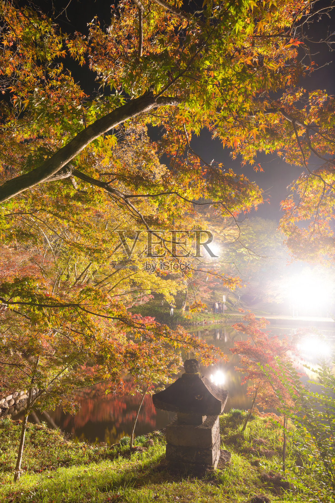 秋季的夕照公园(大分县丰后大野市)的秋叶灯饰照片摄影图片
