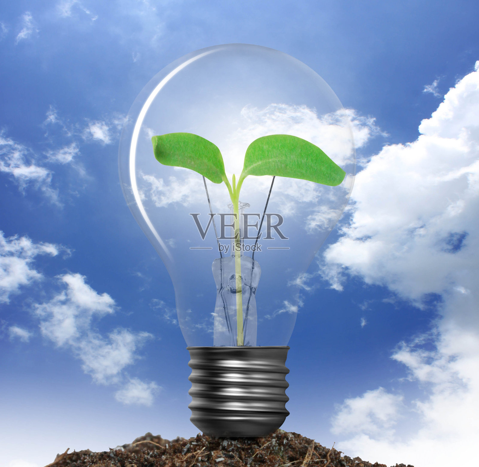 灯泡照片摄影图片