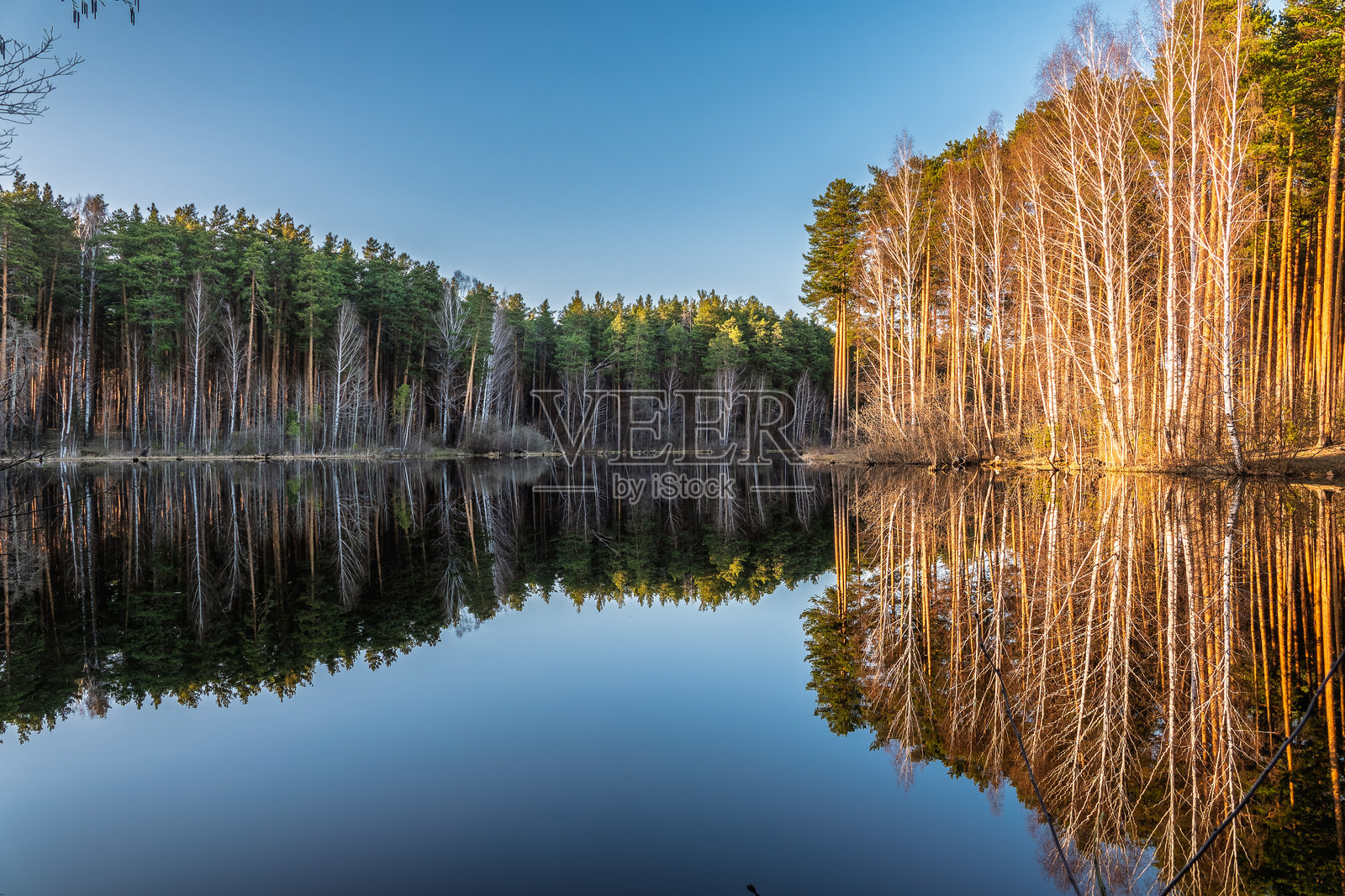 平静的湖泊,岸边是绿树,湖面映照着美丽的倒影。夏日风光。照片摄影图片