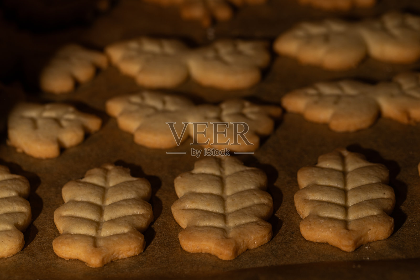 一排排自制的秋叶形黄油酥饼干照片摄影图片