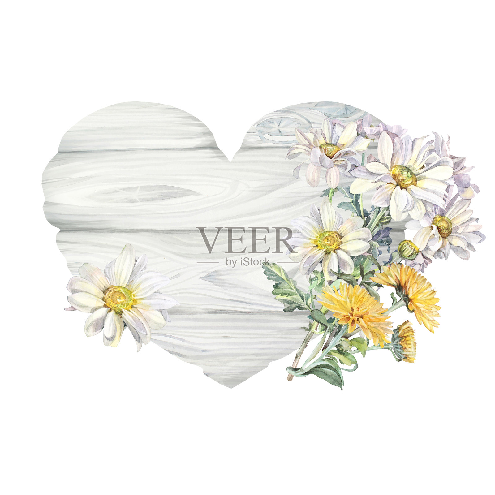 水彩花束,包含蒲公英和雏菊,以及一个木质心形,带有复制空间,孤立在白色背景上。夏日盛开的花朵和用于花艺师的木板。用于婚礼、包装和壁纸的剪贴画。插画图片素材