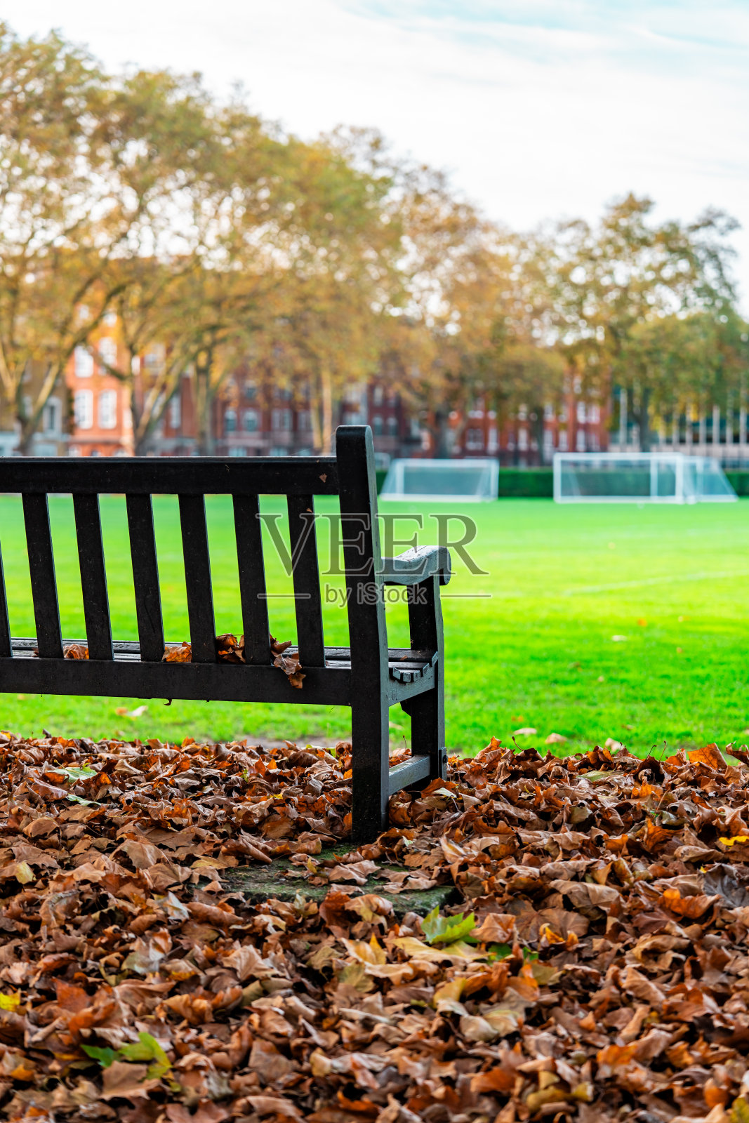 伦敦秋季,公园长椅与落叶照片摄影图片