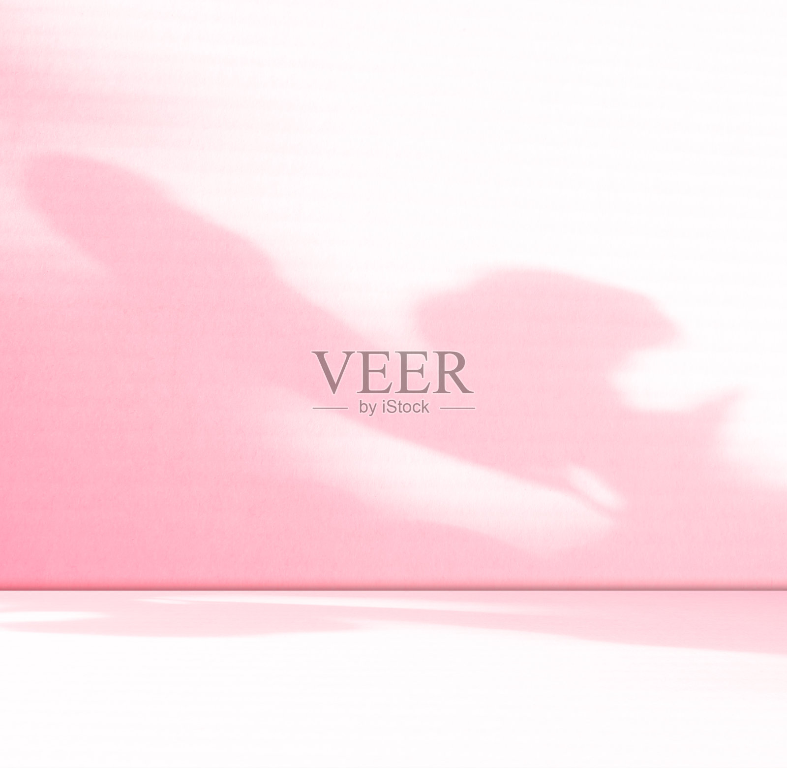 粉色背景照片摄影图片