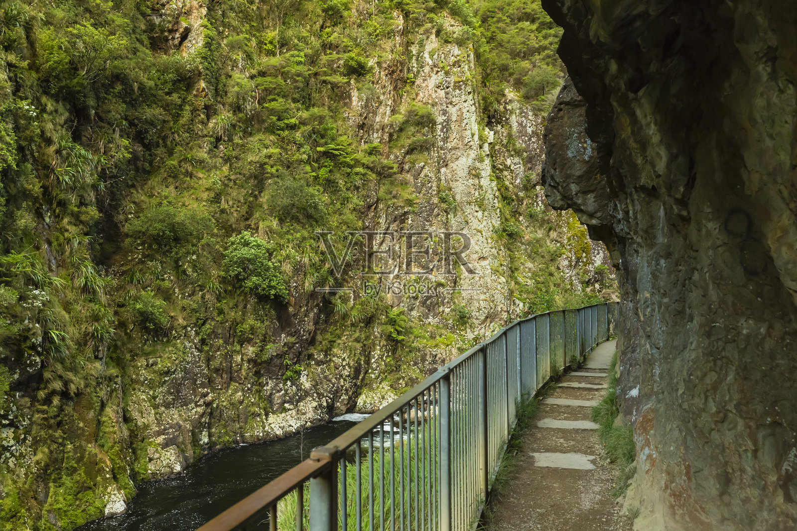 新西兰科罗曼德尔卡兰加哈克峡谷风光照片摄影图片