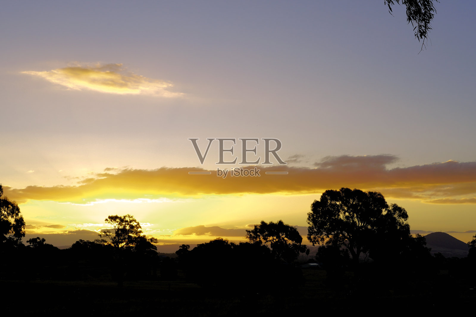 澳大利亚维多利亚州高山高地曼斯菲尔德照片摄影图片