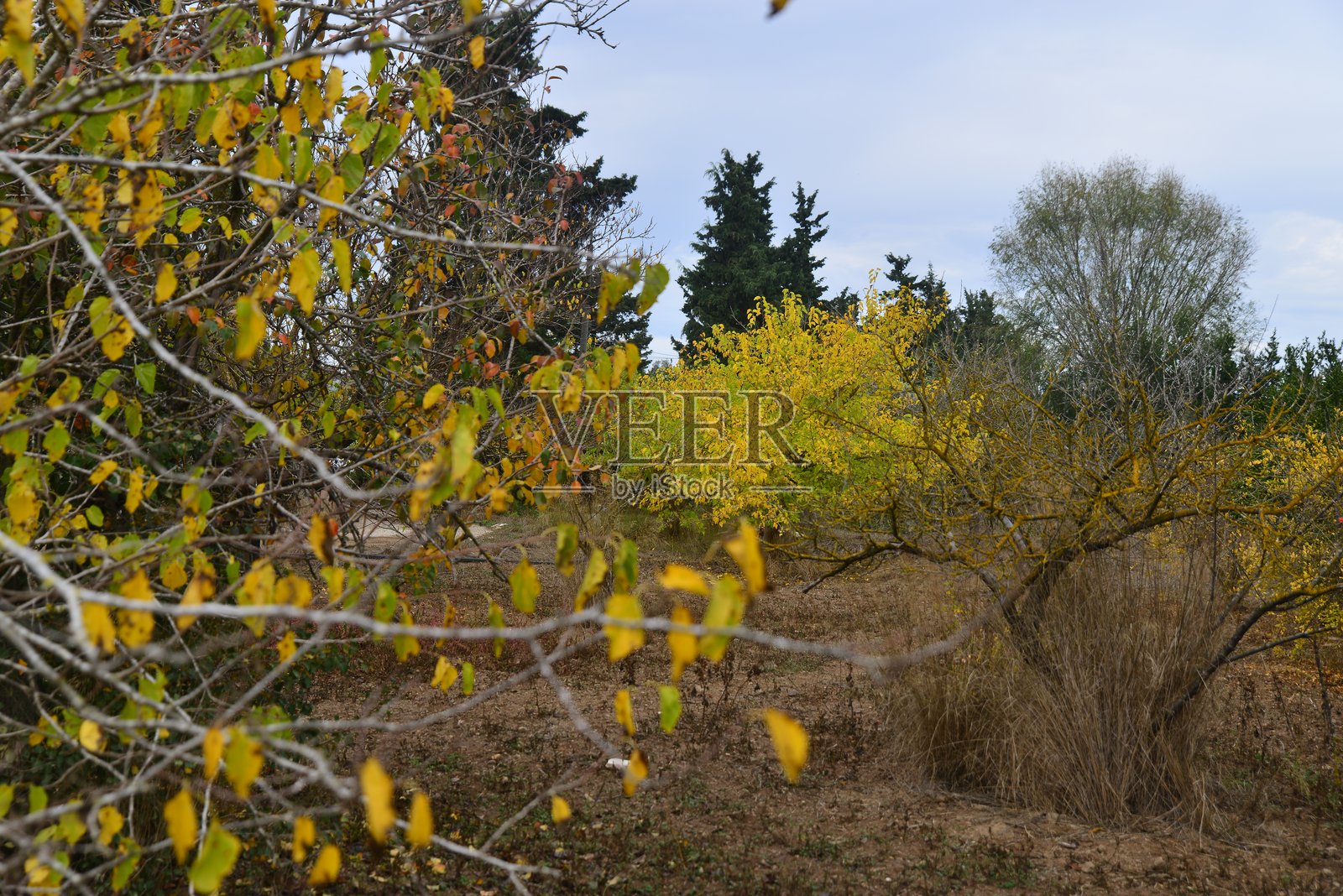 秋天照片摄影图片