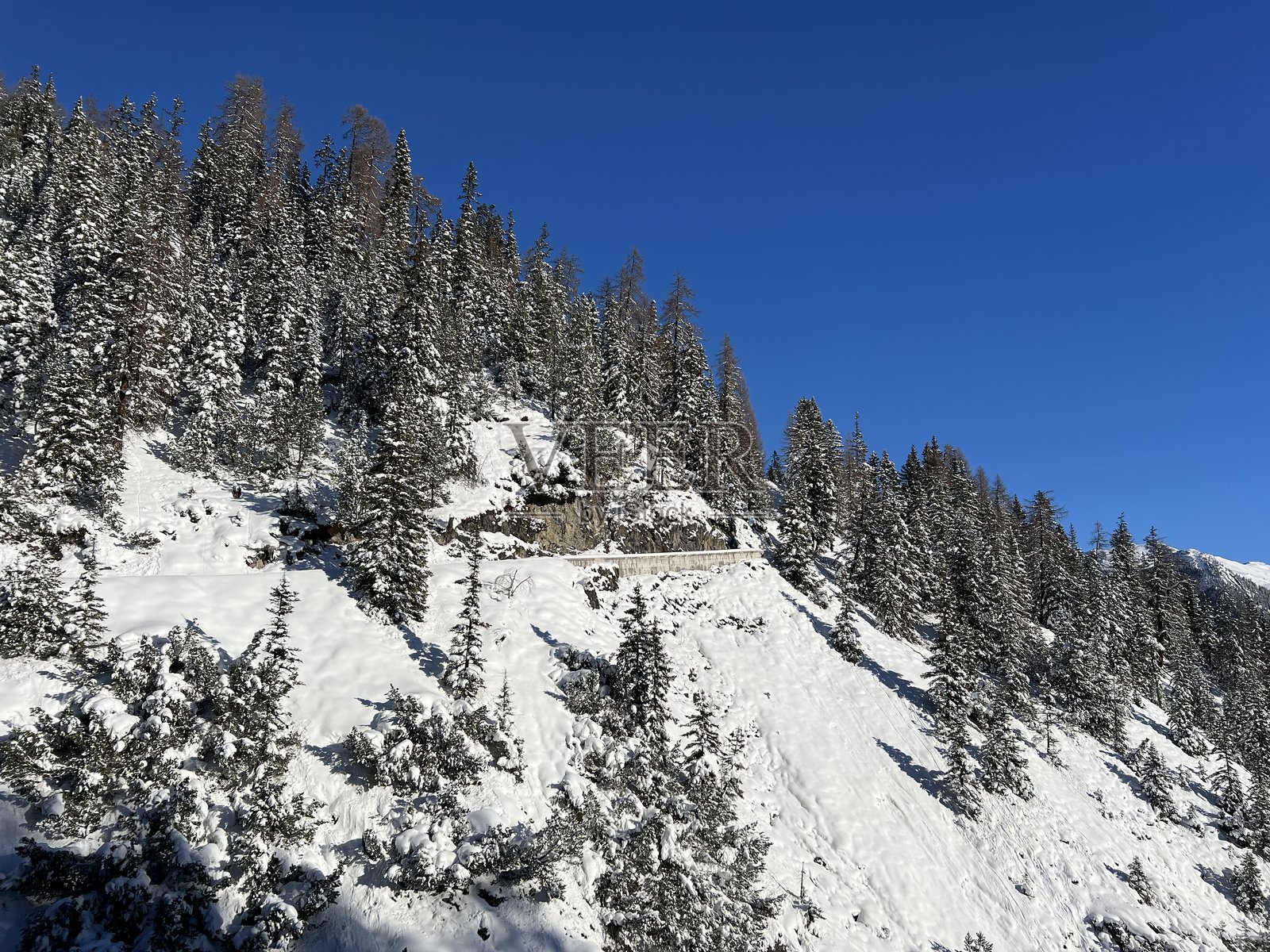瑞士阿尔卑斯山冬季风光,包括达沃斯旅游胜地(格劳宾登州)上方典型的阿尔卑斯树冠照片摄影图片