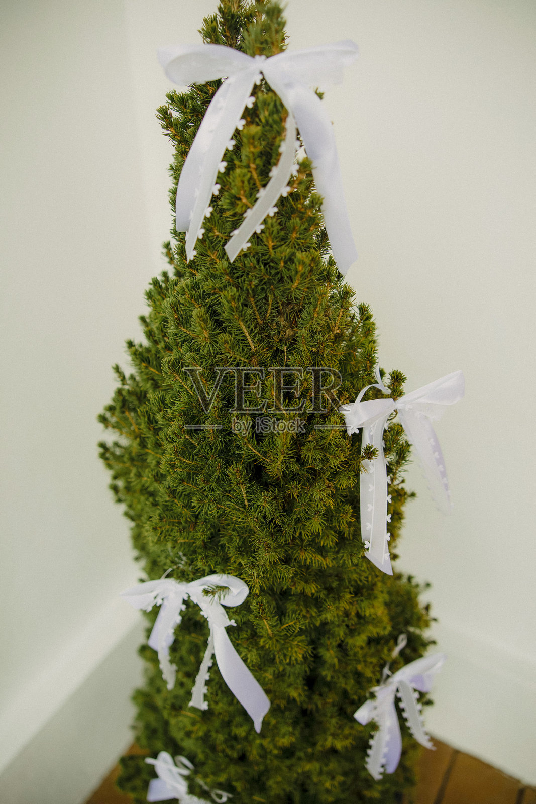 用于手工项目和礼品包装的小巧装饰性白色蝴蝶结照片摄影图片