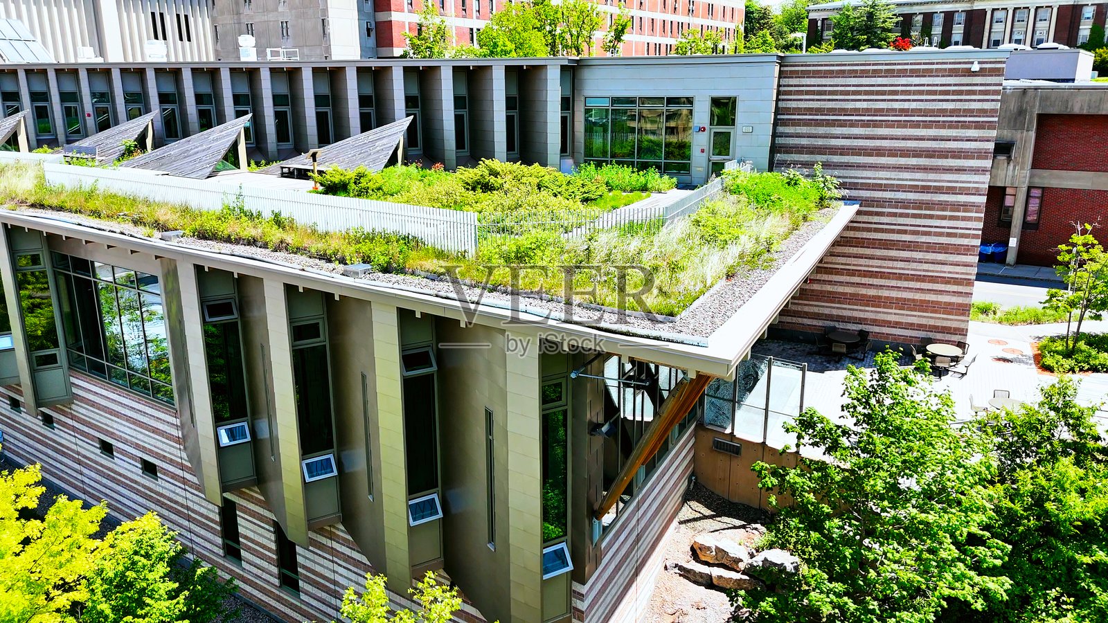 ESF学院校园的卓越设计照片摄影图片