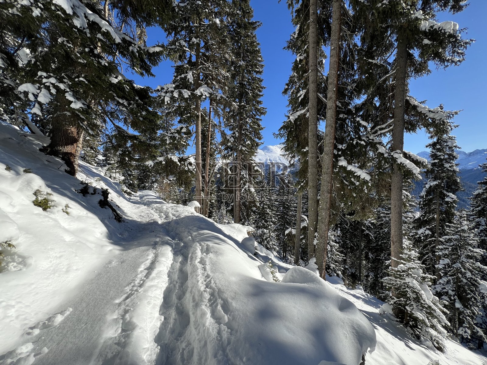 瑞士阿尔卑斯山脉新鲜的积雪覆盖下的冬季徒步小径和痕迹,俯瞰瑞士格劳宾登州达沃斯旅游度假区(Kanton Graubünden, Schweiz)。照片摄影图片