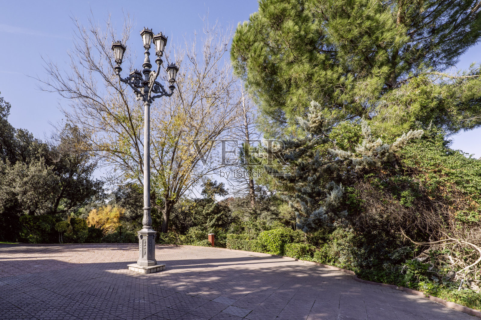 一盏有五个灯头的仿古金属路灯照片摄影图片