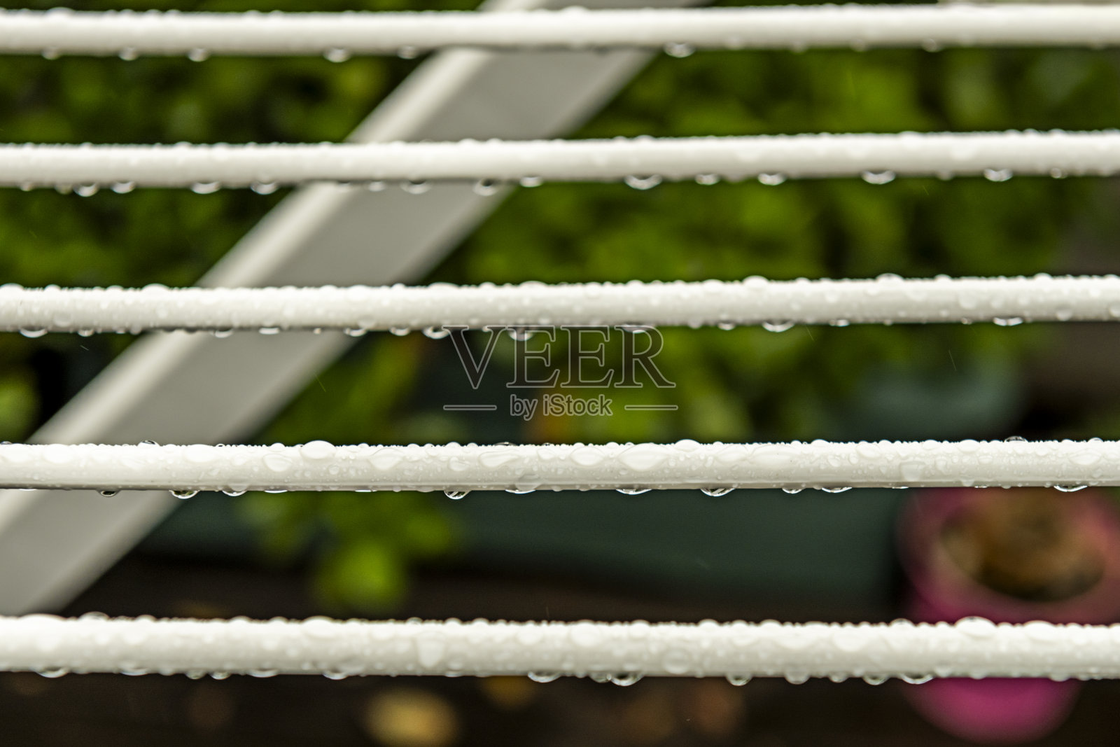 阳台上,一排排白色的可折叠塑料晾衣绳上挂满了雨滴,晾衣绳周围是郁郁葱葱的绿色植物。照片摄影图片