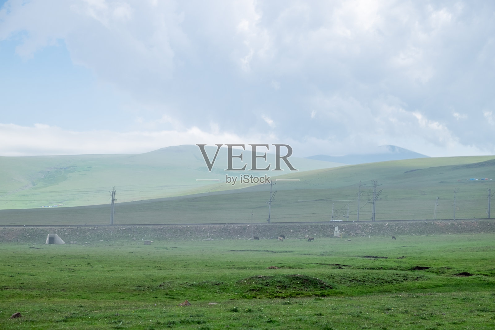 格鲁吉亚,贾瓦赫蒂。2020年7月18日。第比利斯-卡尔斯铁路穿越草地平原照片摄影图片