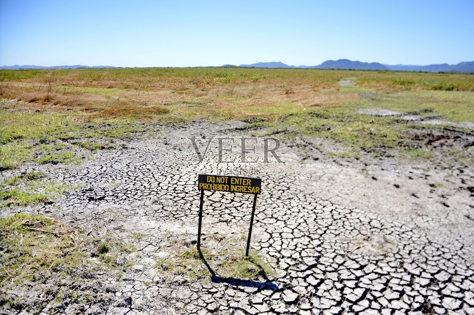 哥斯达黎加帕洛维德湿地的干裂土地。照片摄影图片