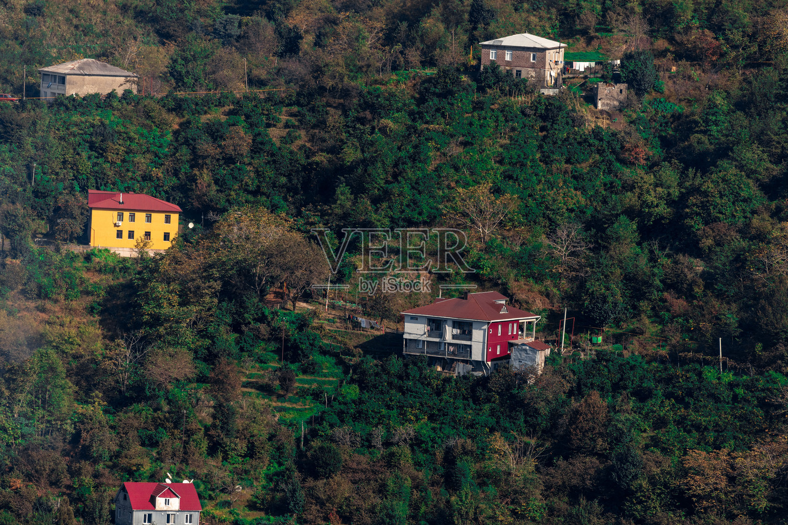 巴统的乡村地区。乡村房屋坐落在山坡上。一层、两层和三层房屋被高大的绿树环绕。照片摄影图片